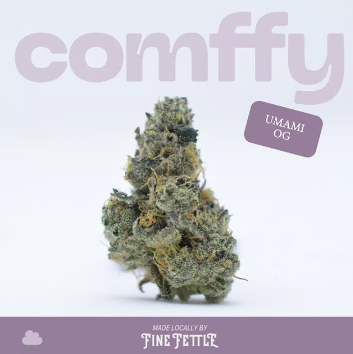 Fine Fettle - Fine Fettle - Comffy Umami OG Flower 3.5g - 1