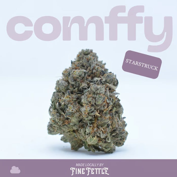 Fine Fettle - Fine Fettle - Comffy Starstruck Flower 3.5g - 1