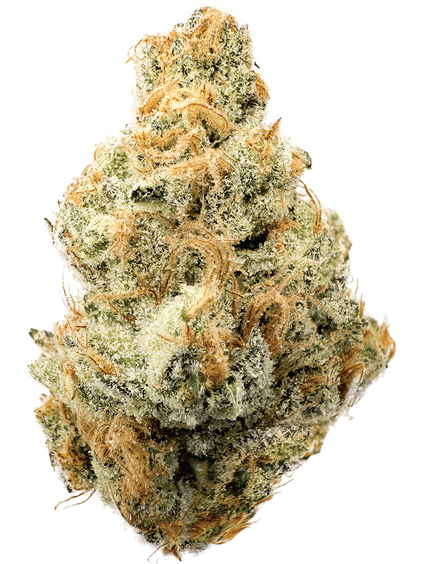 Rhize - Rhize | Honey Banana | 14g Flower - 1