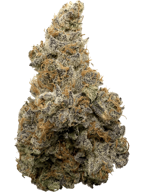 Rhize - Rhize | G13 Skunk | 28g Flower - 1