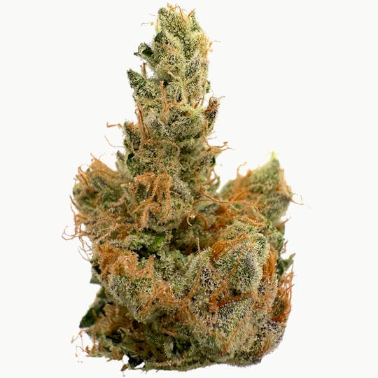 Rhize - Rhize | Sour Diesel | 3.5g Flower - 1