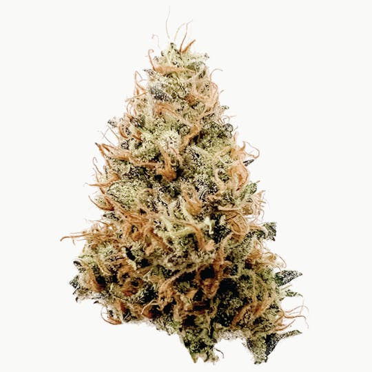 Rhize - Rhize | Papaya Juice | Flower - 1