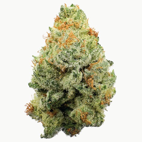 Rhize - Rhize | Strawberry Guava | Flower - 1