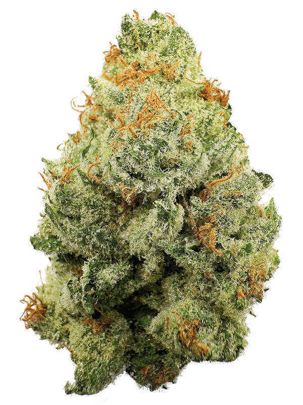 Rhize - Rhize | Strawberry Guava | 28g Flower - 1