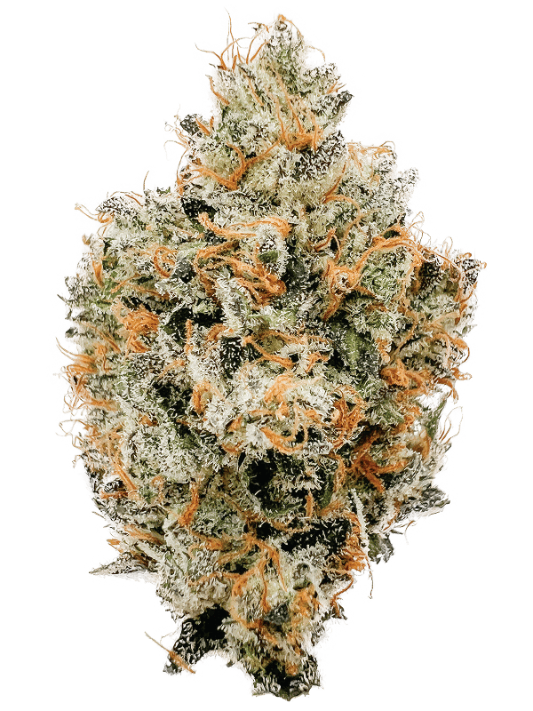 Rhize - Rhize | Deathstar | Flower - 1