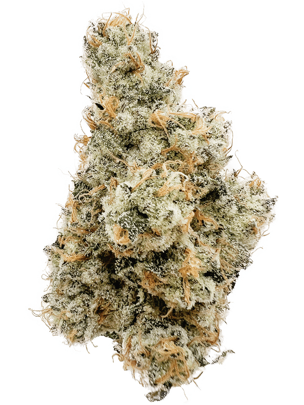 Rhize - Rhize | Dulce De Uva | 28g Flower - 1