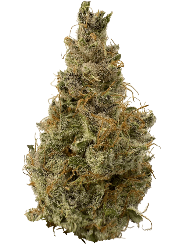 Rhize - Rhize | Berry Fizz | 28g Flower - 1