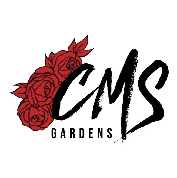 CMS Gardens - CMS Gardens - Cherry Madness Flower 3.5g - 1