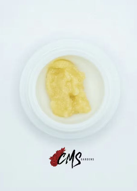 CMS Gardens - CMS Gardens - Trash Panda Live Rosin Concentrate 1g - 1
