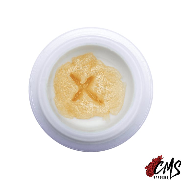 CMS Gardens - CMS Gardens - Banana Panda Live Rosin Concentrate 4g - 1