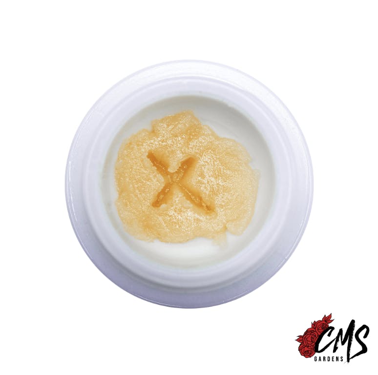 CMS Gardens - CMS Gardens - Candied Garlic Live Rosin Concentrate 2g - 1