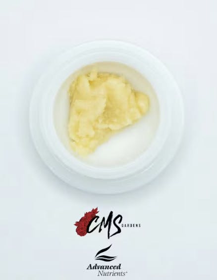 CMS Gardens - CMS Gardens - Tropic Truffle Live Rosin Concentrate 1g - 1