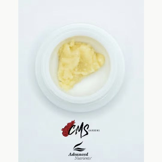 CMS Gardens - CMS Gardens - Tropic Truffle Live Rosin Concentrate 1g - 1