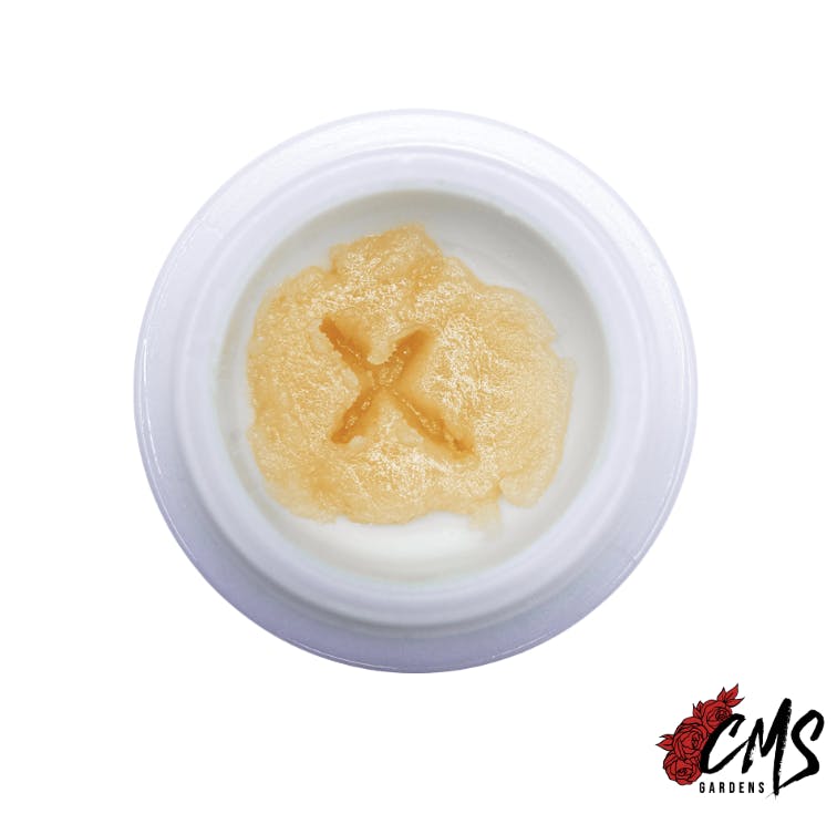CMS Gardens - CMS Gardens - Trash Panda Live Rosin Concentrate 2g - 1