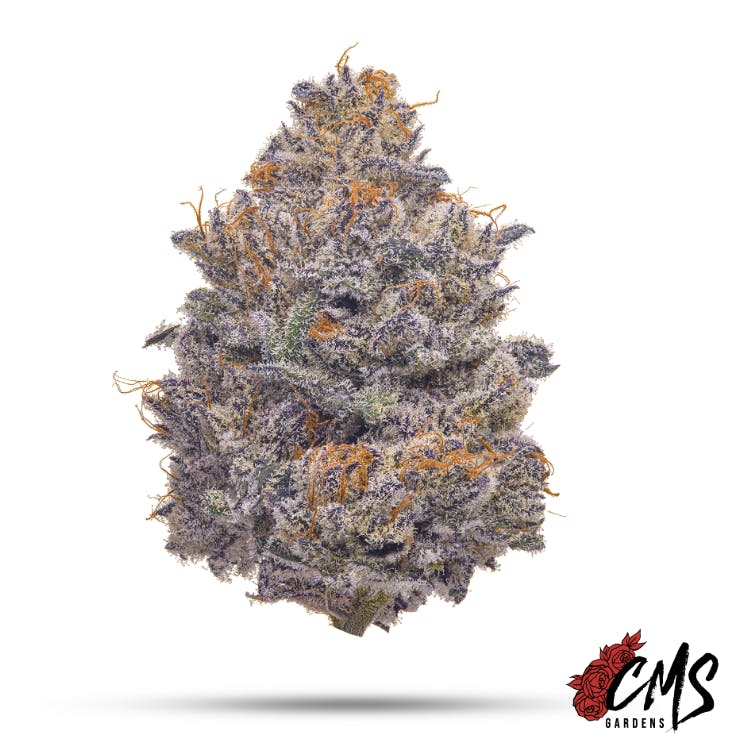 CMS Gardens - CMS Gardens - Cherrylicious Flower 7g - 1