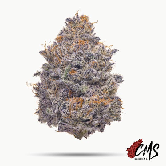 CMS Gardens - CMS Gardens - Cherrylicious Flower 7g - 1