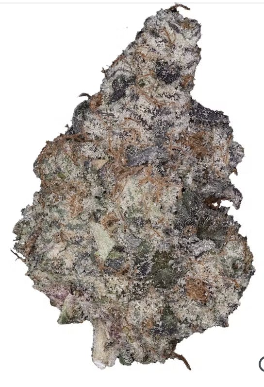 CMS Gardens - CMS Gardens - Pomelo Punch Flower 3.5g - 1