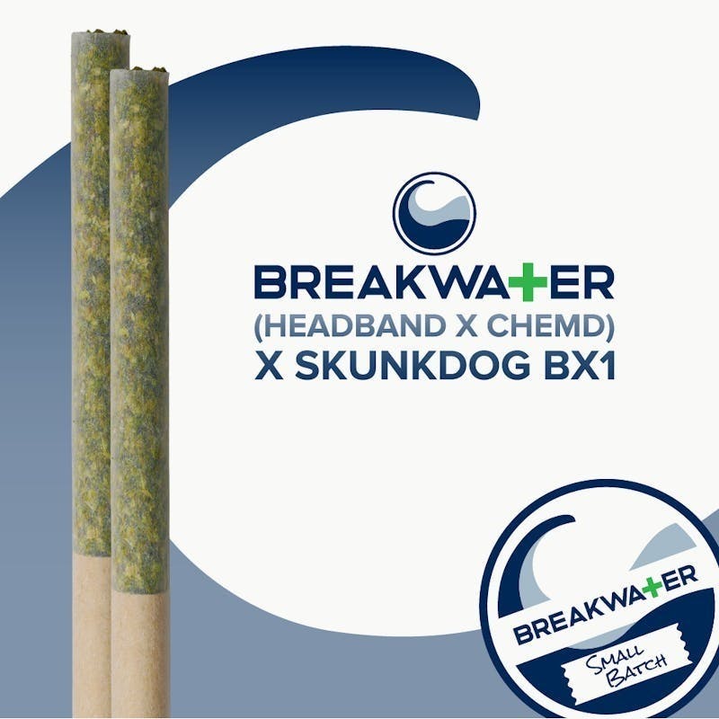 Breakwater - Headband x ChemD x Skunkdog Bx1 | 2pk Pre-Roll 1g - 1