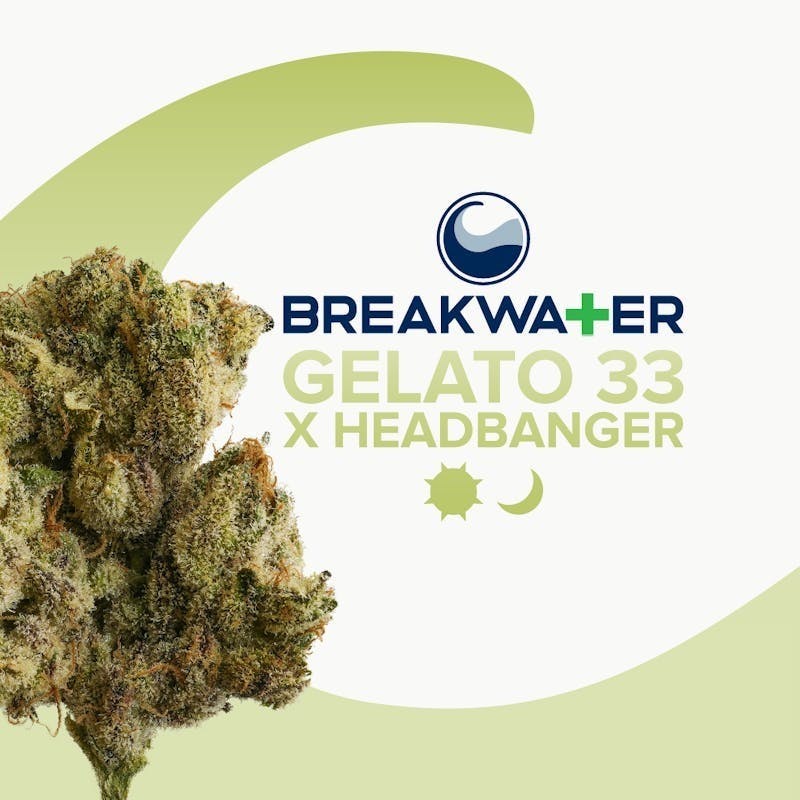 Breakwater - Gelato 33 x Headbanger | Flower 3.5g - 1
