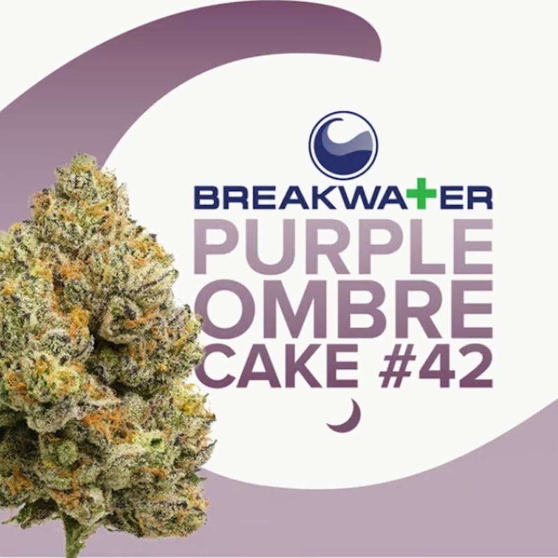 Breakwater - Purple Ombre Cake # 42 | Flower 7g - 1