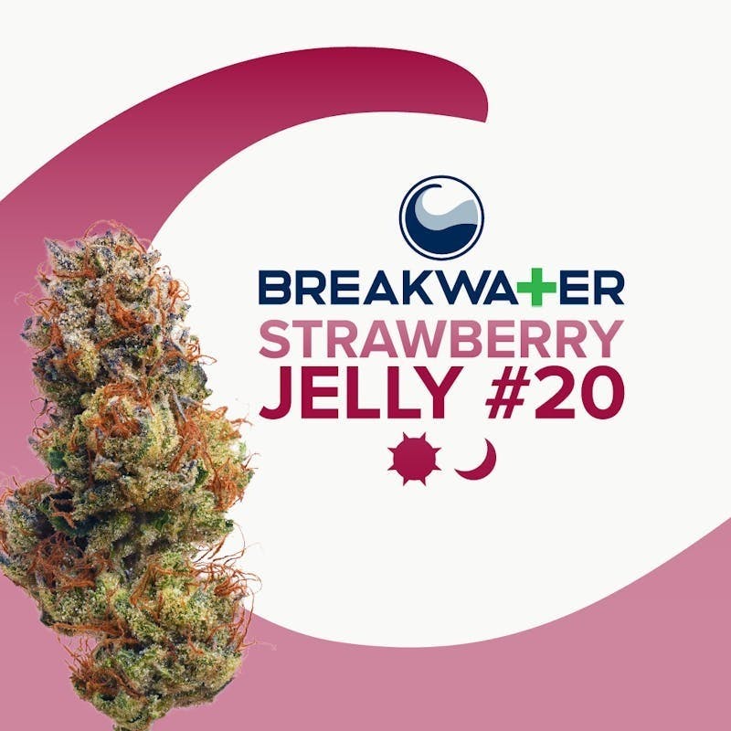 Breakwater - Strawberry Jelly #20 | Flower 7g - 1