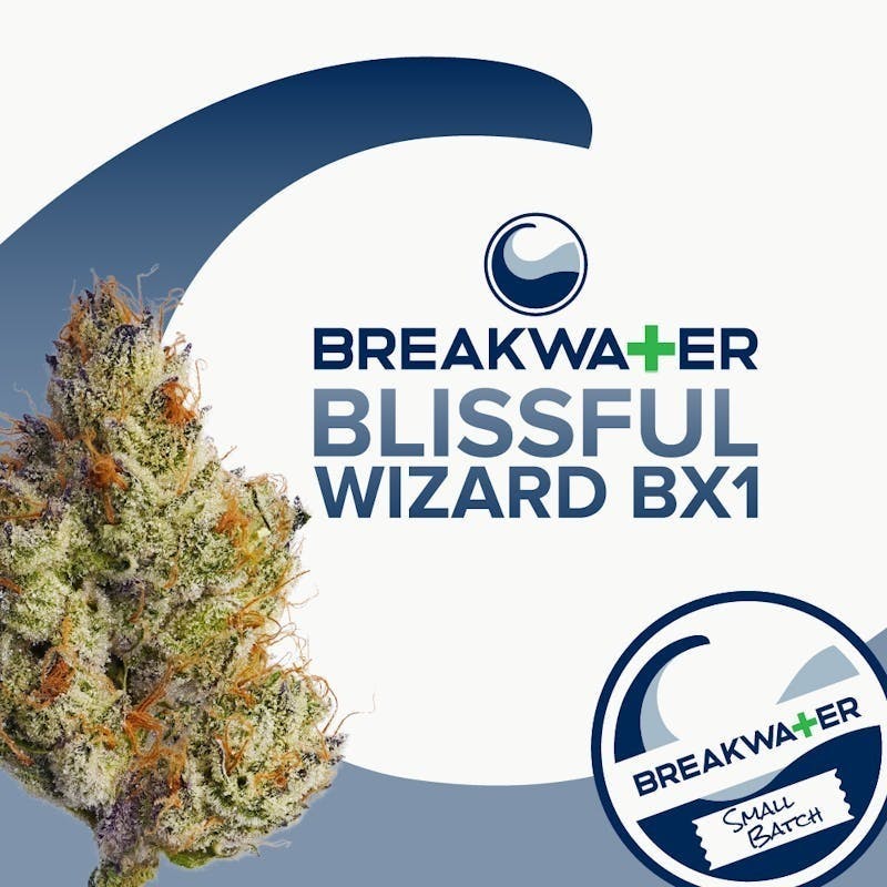 Breakwater - Blissful Wizard BX1 | Flower 7g - 1