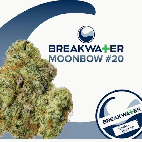 Breakwater - Moonbow #20 | Flower 3.5g - 1