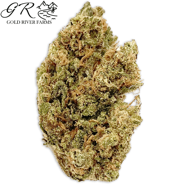 Elevation - Blue Dream – Flower – 14g - 1