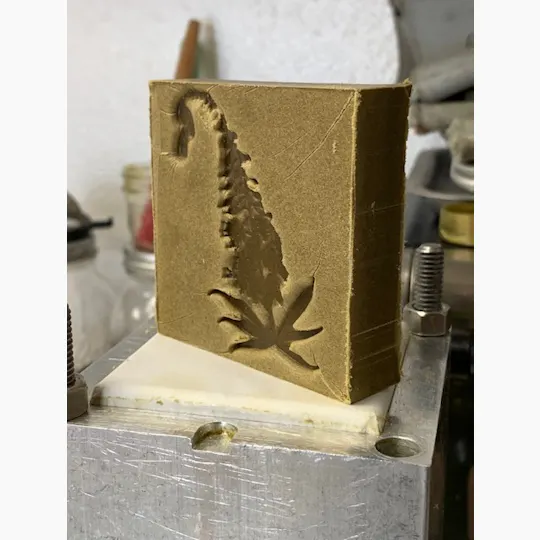 Fireweed Extracts - Sour Lemon Old School Hash - 1