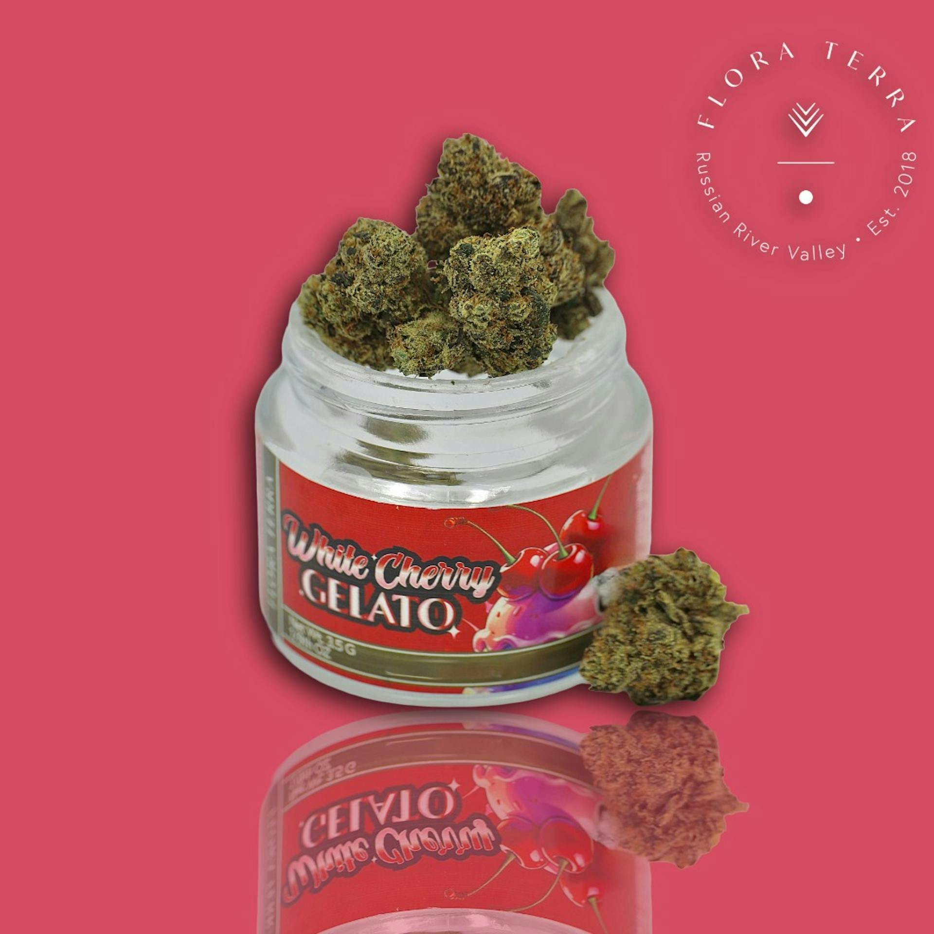 Flora Terra - Flora Terra | White Cherry Gelato 3.5g Jar - 1