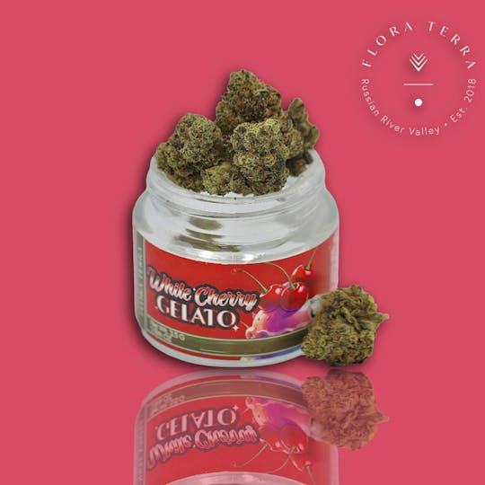 Flora Terra - Flora Terra | White Cherry Gelato 3.5g Jar - 1