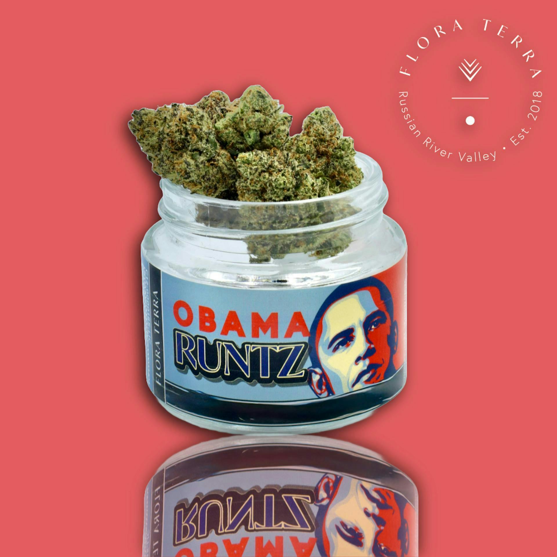 Flora Terra - Flora Terra | Obama Runtz 3.5g - 1