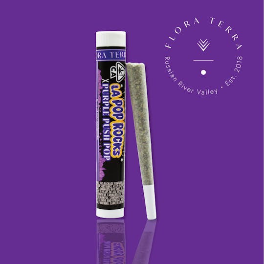 Flora Terra - Flora Terra | La Pop Rocks x Purple Push Pop 1g - 1