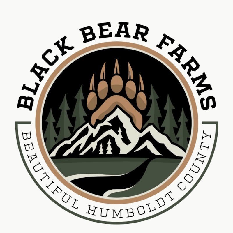 Black Bear Farms - Blueberry Thin Mintz | Pre Roll 1g - 1