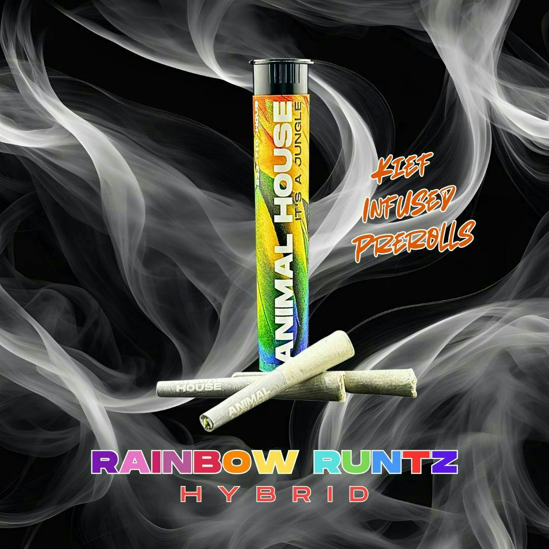 Animal House - Animal House | Rainbow Runtz | Infused Minis | 0.5g each | 3pk - 1