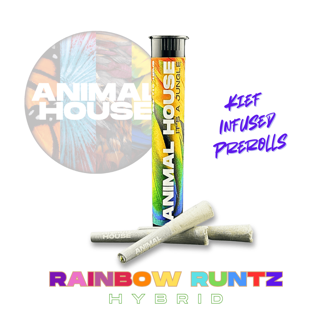 Animal House - Animal House | Rainbow Runtz | Infused Minis | 0.5g each | 3pk - 1