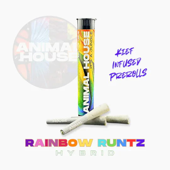 Animal House - Animal House | Rainbow Runtz | Infused Minis | 0.5g each | 3pk - 1