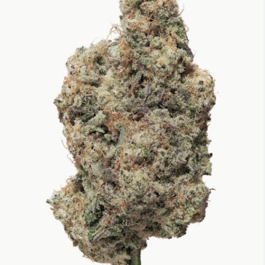 Herbarium - Herbarium - White Gummiez Shake Flower 28g - 1