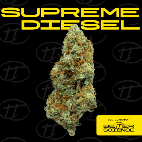 Better Science - BSC - Supreme Diesel - Flor - 1