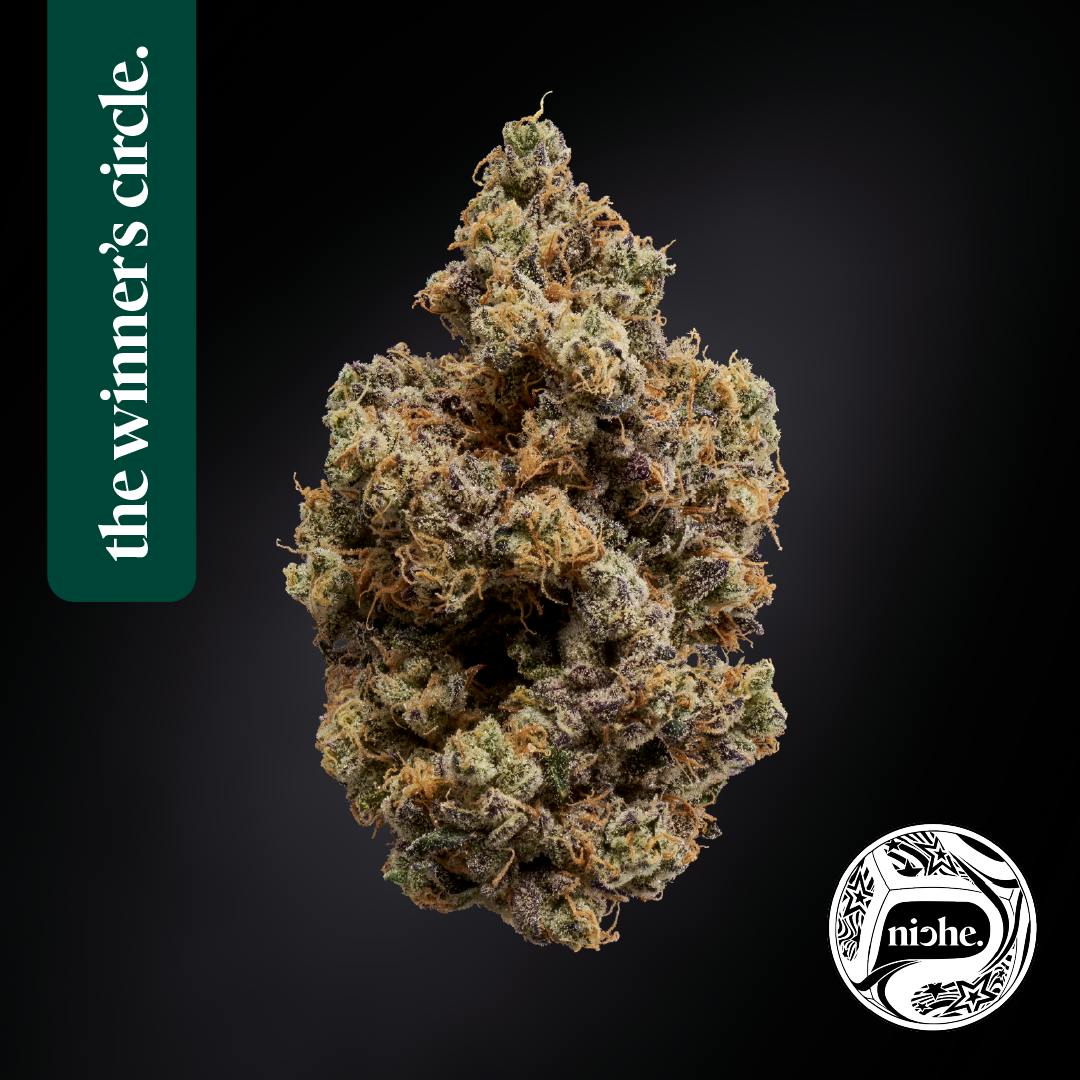 Niche - Spritzer | 3.5g - 1