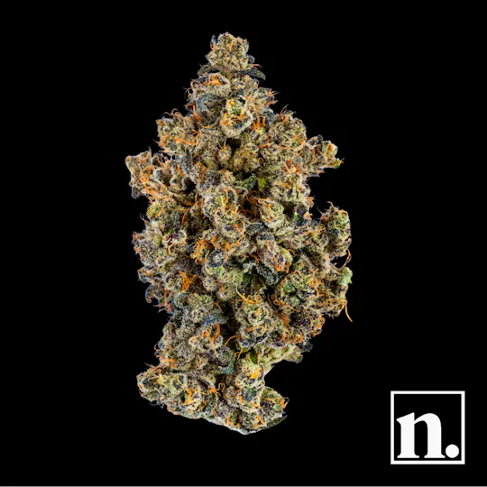 Niche - Spritzer | 1g - 1