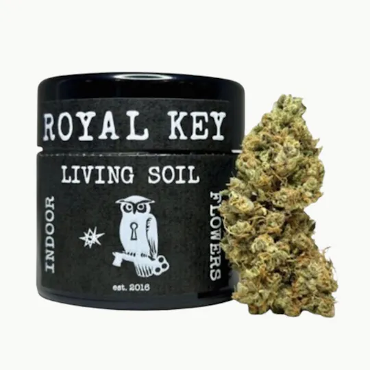 Royal Key - Royal Key | Z 3.5G - 1