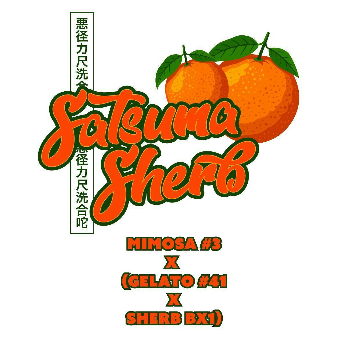 Okie TSGP - Satsuma Sherb - 3.5g Prepack Flower - 1