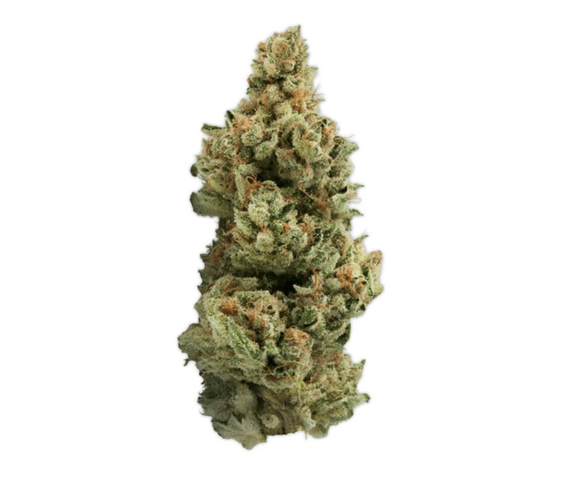 Vireo - Vireo | GMO Punch | Flower | 7G - 1