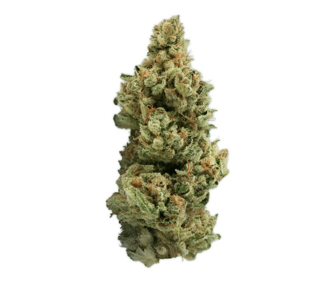 Vireo - GMO Punch | Big Buds | 7g - 1