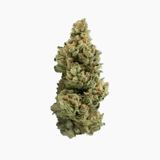 Vireo - GMO Punch | Big Buds | 7g - 1