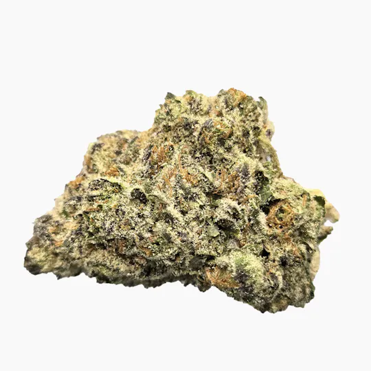 Vireo - Vireo | Grape Mochi | Flower | 7G - 1