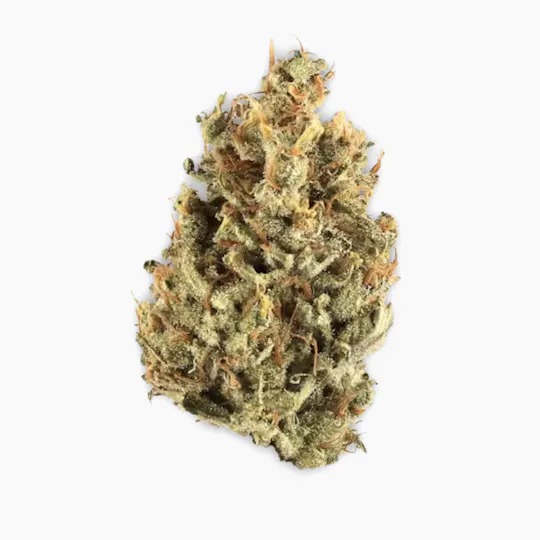 Vireo - Vireo | Duct Tape | Flower | 7G - 1