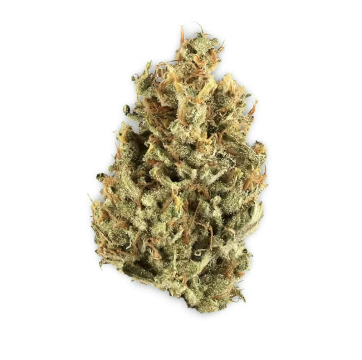 Vireo - Duct Tape | Big Buds | 7g - 1