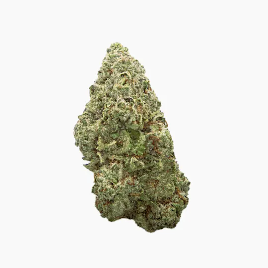 Vireo - Vireo | Blue Runtz | Flower | 7G - 1